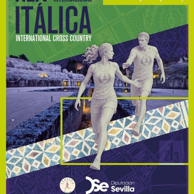Cartel definitivo 2026