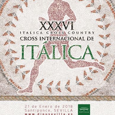 Cartel Cross XXXVI (2018)
